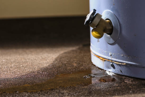 Best Professional water damage repair  in Clinton, OK