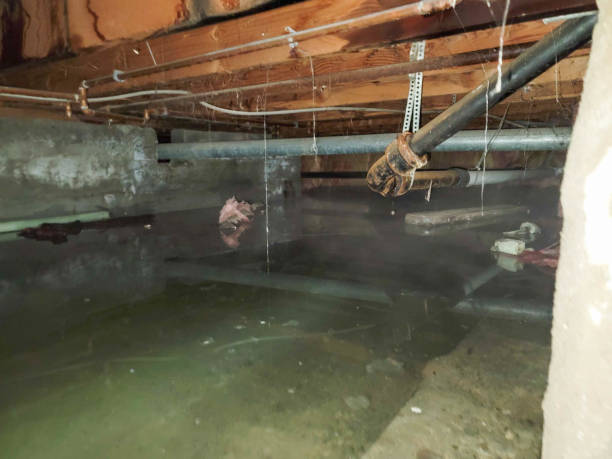 Best 24/7 water damage repair  in Clinton, OK