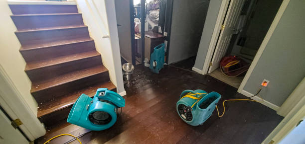 Best Water damage restoration near me  in Clinton, OK