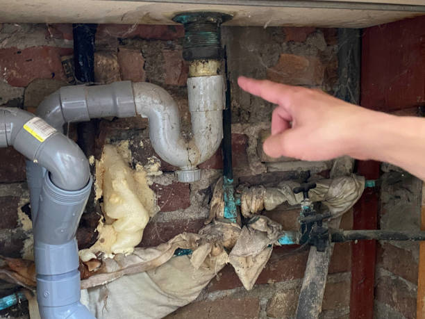 Best Mold removal after water damage  in Clinton, OK