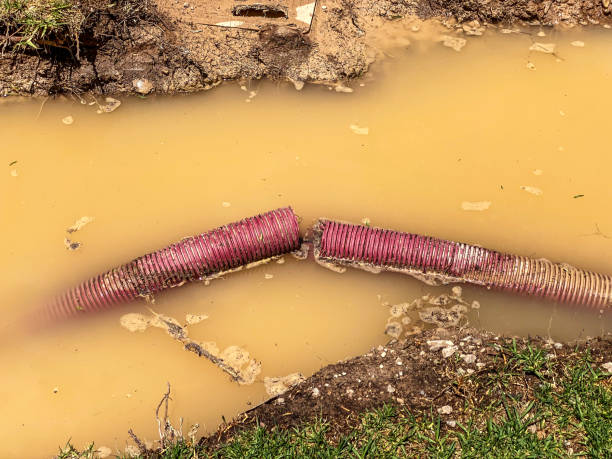 Best Water damage restoration near me  in Clinton, OK