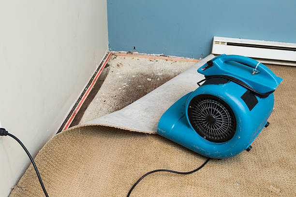  Clinton, OK Water damage restoration Pros
